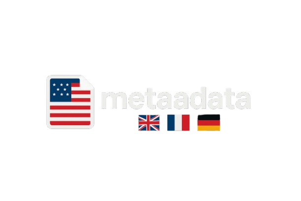 Meta Data Logo